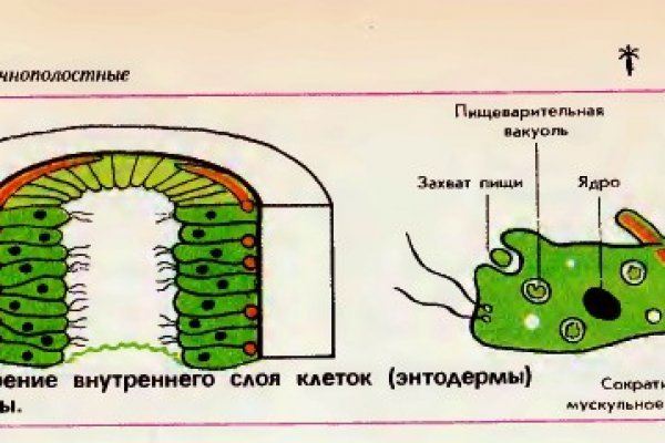 Купить бошки гаш